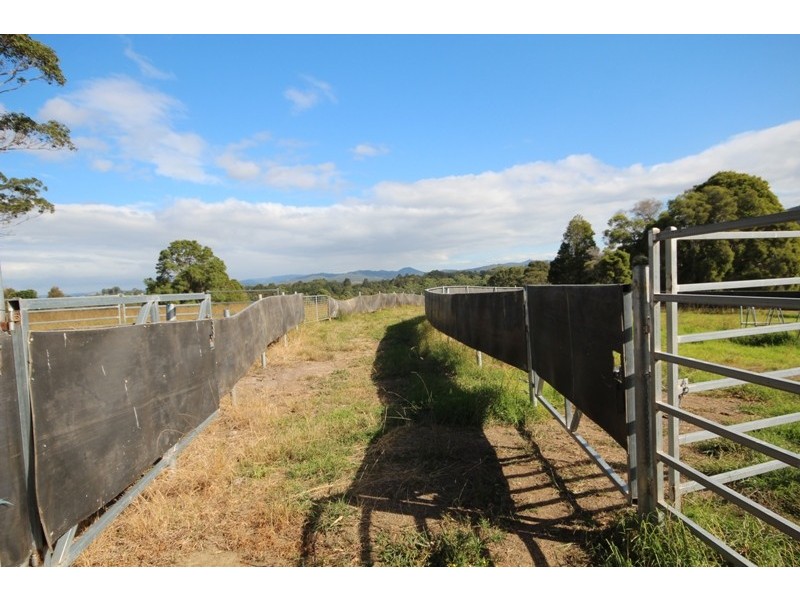 Wingham NSW 2429