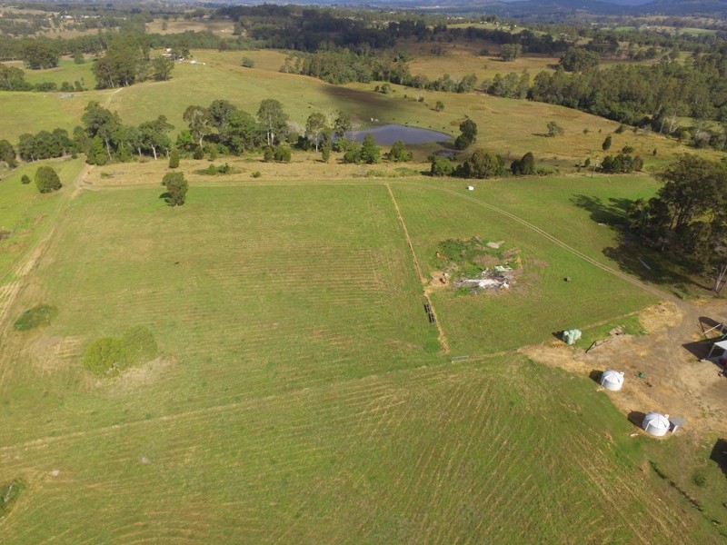 Wingham NSW 2429
