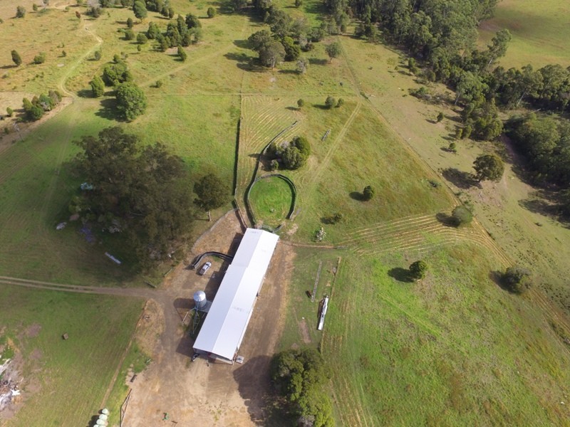 Wingham NSW 2429