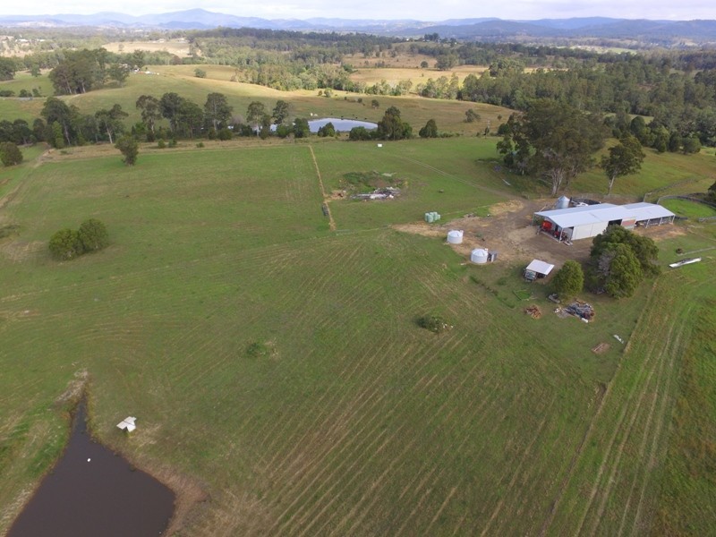 Wingham NSW 2429