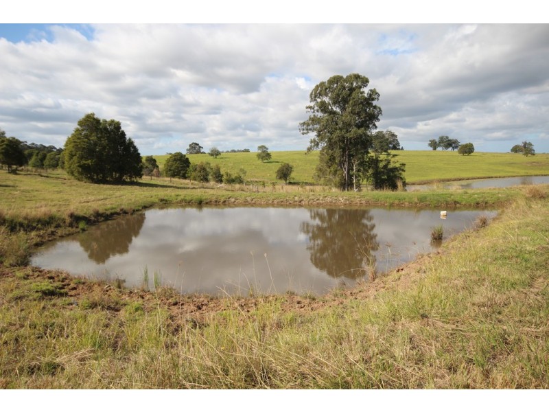 Wingham NSW 2429