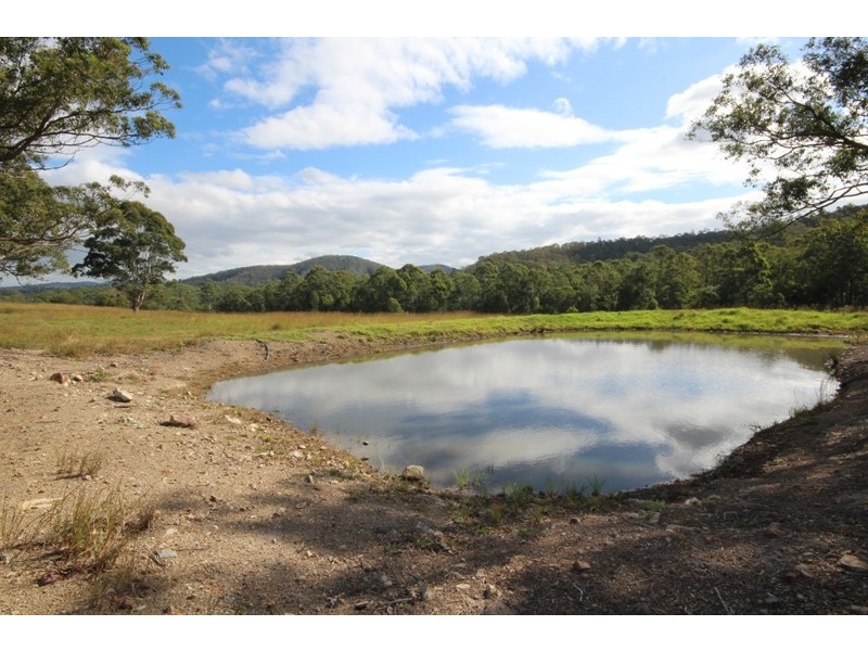 Wingham NSW 2429