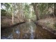 Wingham NSW 2429