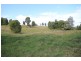 Wingham NSW 2429