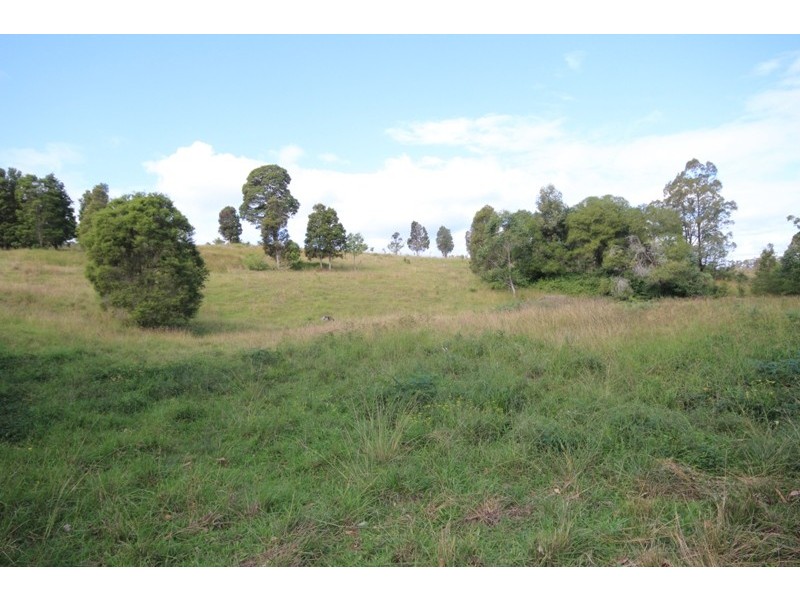 Wingham NSW 2429