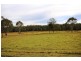 48 Cashmere Lane, Upper Lansdowne NSW 2430