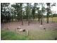 48 Cashmere Lane, Upper Lansdowne NSW 2430