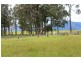 48 Cashmere Lane, Upper Lansdowne NSW 2430