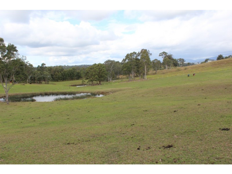 8 The Cedars Drive, Wingham NSW 2429