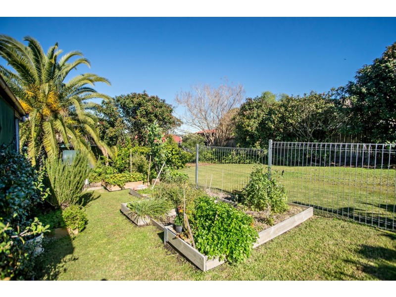 8 Alban Street, Taree NSW 2430