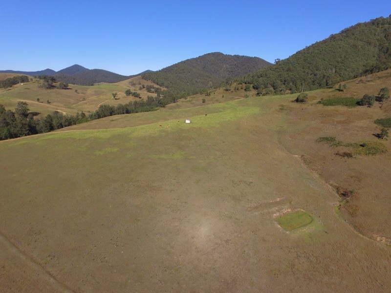 Cooplacurripa NSW 2424