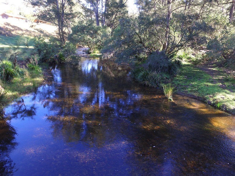 Cooplacurripa NSW 2424