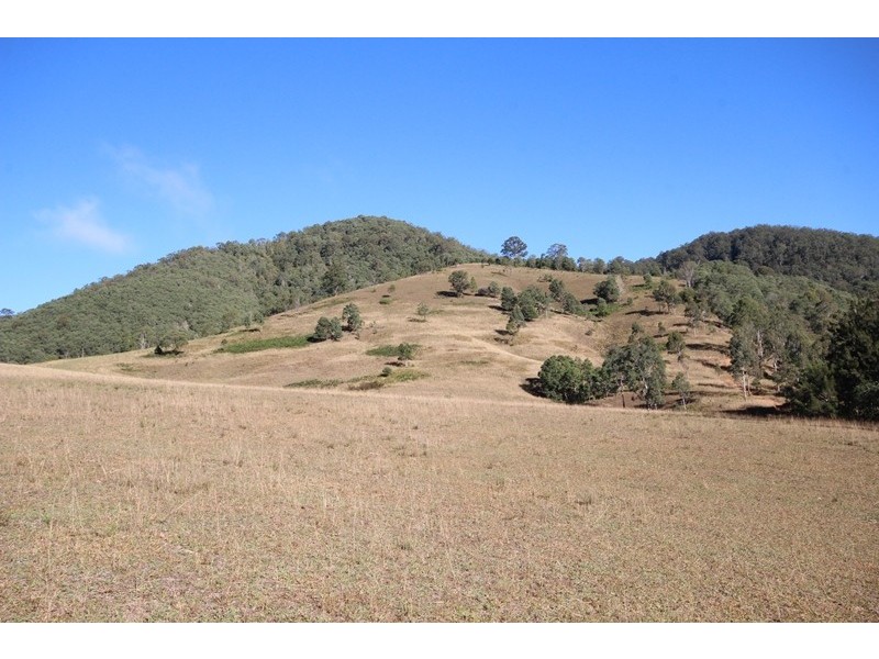 Cooplacurripa NSW 2424