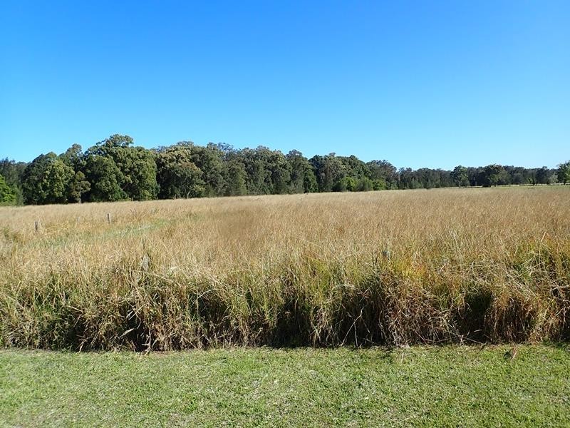 1542 Manning Point Road, Mitchells Island NSW 2430