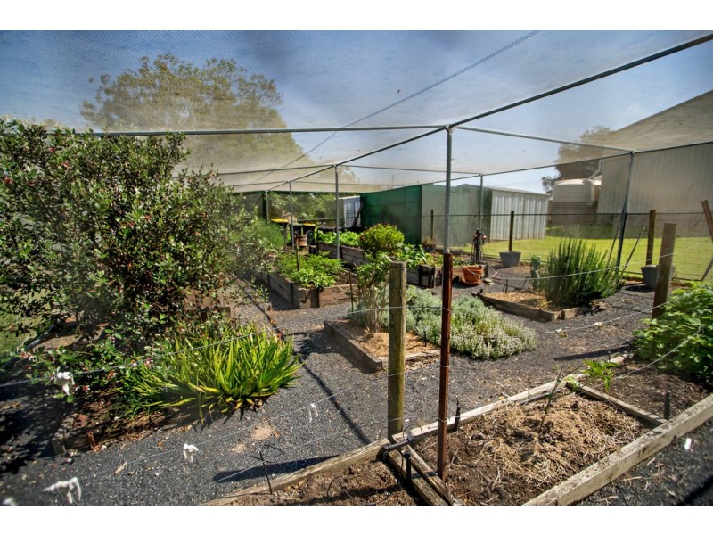 72 Murray Road, Wingham NSW 2429