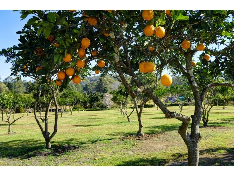 19 Iluka Circuit, Taree NSW 2430