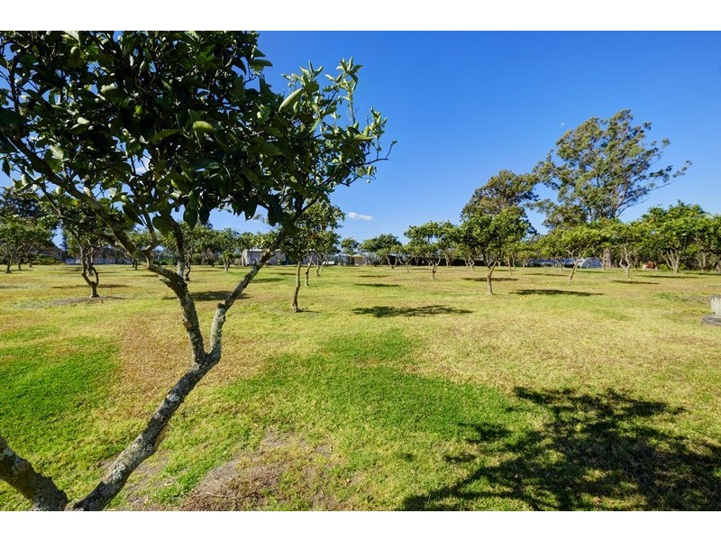 19 Iluka Circuit, Taree NSW 2430