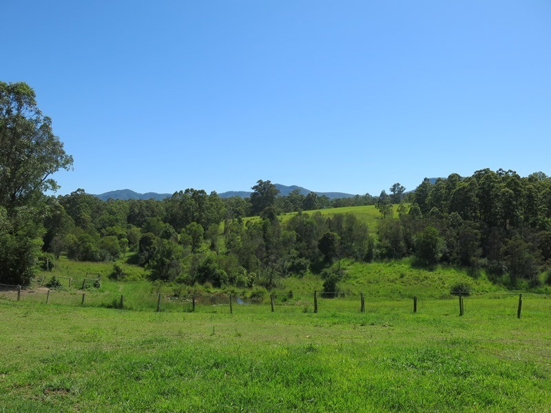 84 Paynes Lane, Upper Lansdowne NSW 2430