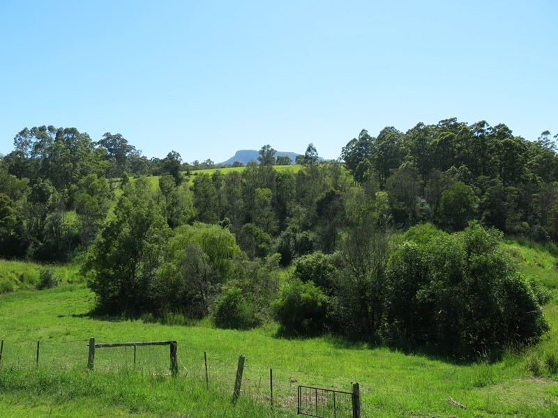 84 Paynes Lane, Upper Lansdowne NSW 2430
