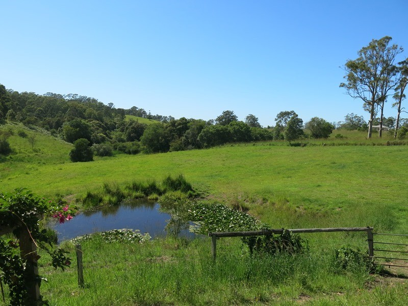 84 Paynes Lane, Upper Lansdowne NSW 2430