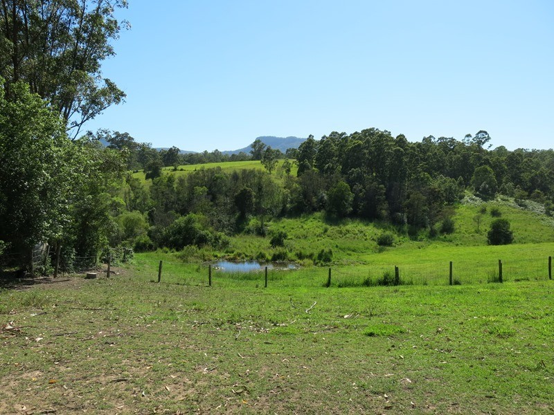 84 Paynes Lane, Upper Lansdowne NSW 2430