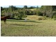 84 Paynes Lane, Upper Lansdowne NSW 2430