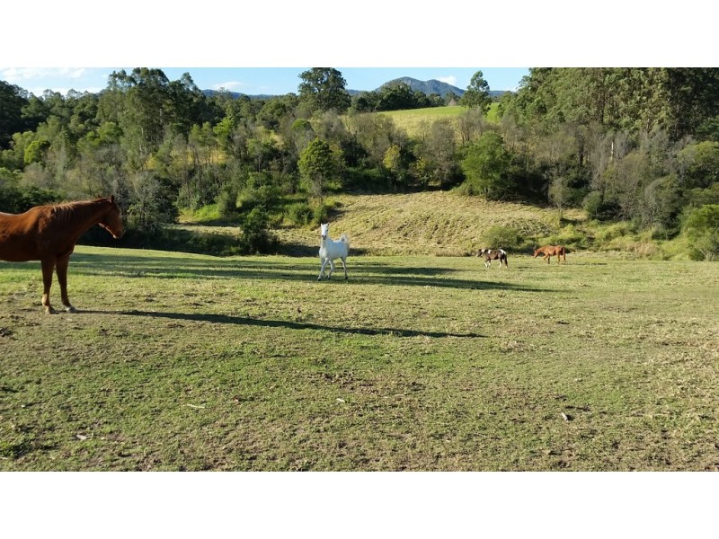 84 Paynes Lane, Upper Lansdowne NSW 2430