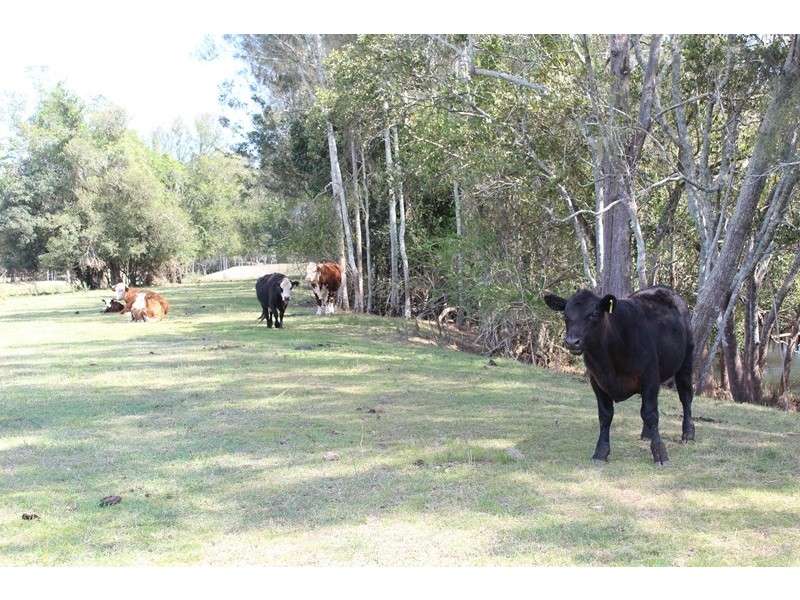 130 Blacks Lane, Ghinni Ghinni NSW 2430