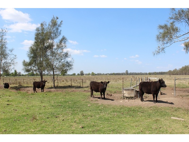 130 Blacks Lane, Ghinni Ghinni NSW 2430