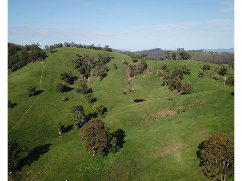 185 Plantation Lane, Cedar Party NSW 2429