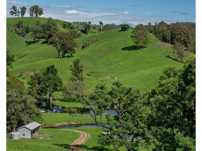 185 Plantation Lane, Cedar Party NSW 2429