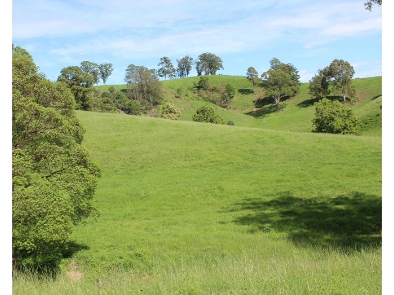 185 Plantation Lane, Cedar Party NSW 2429