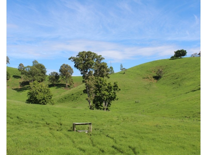 185 Plantation Lane, Cedar Party NSW 2429