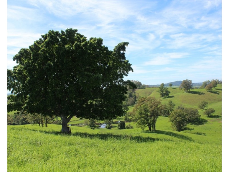 185 Plantation Lane, Cedar Party NSW 2429