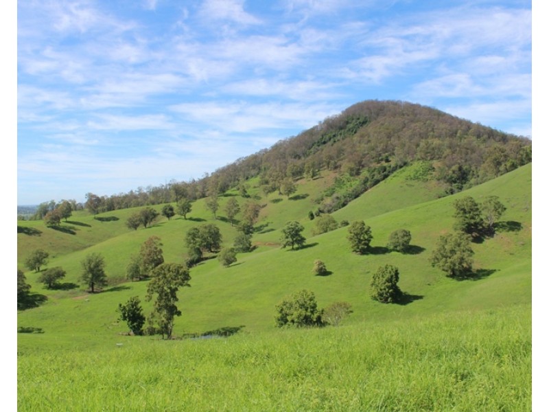 185 Plantation Lane, Cedar Party NSW 2429