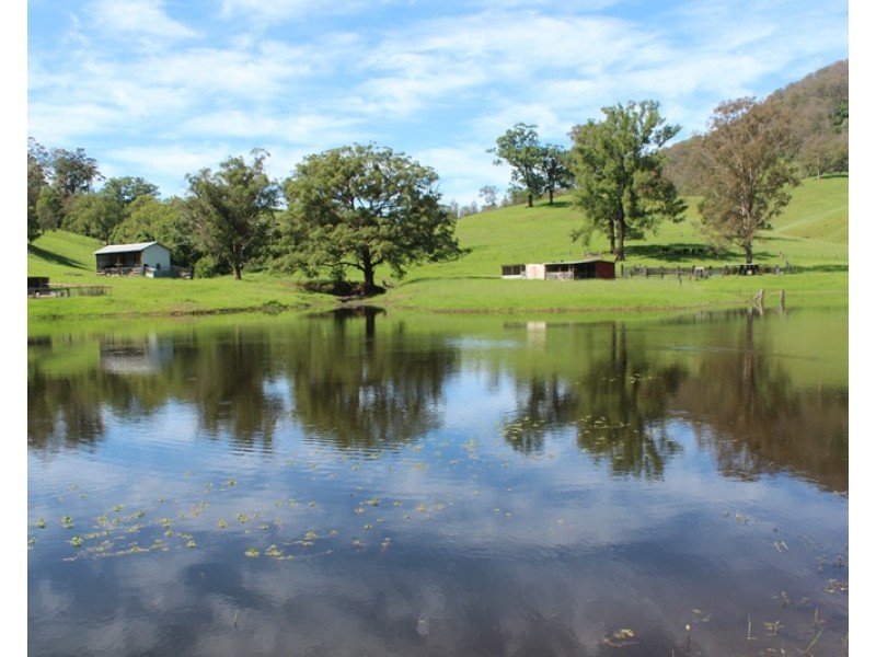 185 Plantation Lane, Cedar Party NSW 2429