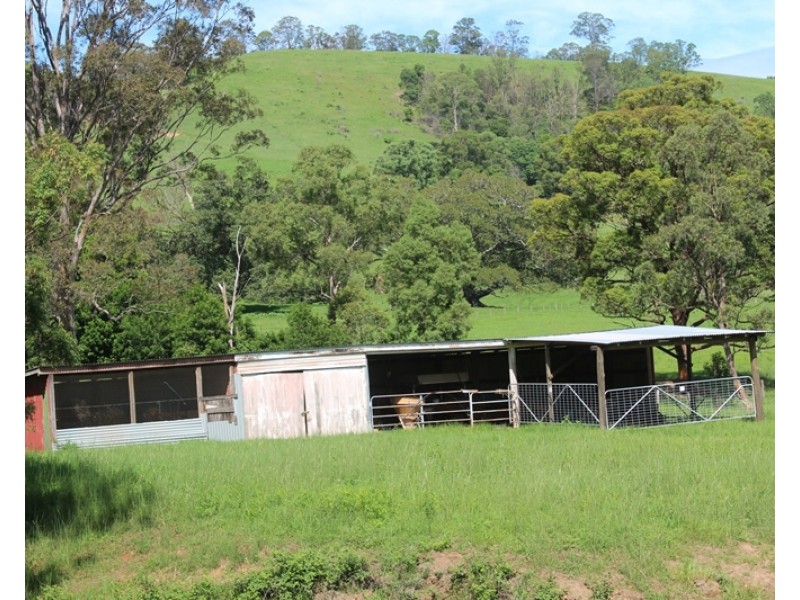 185 Plantation Lane, Cedar Party NSW 2429