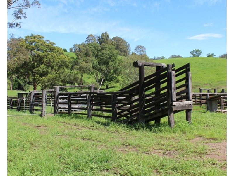 185 Plantation Lane, Cedar Party NSW 2429