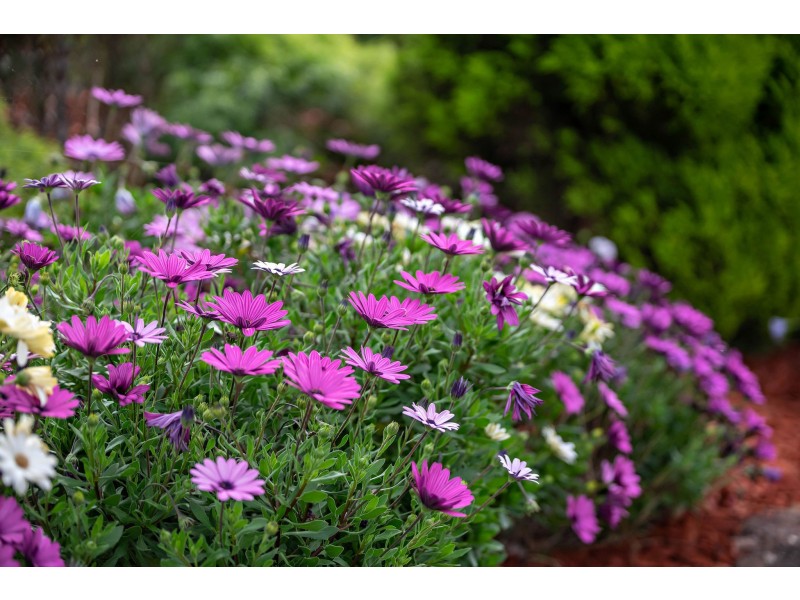 16 Gunbar Road, Taree NSW 2430