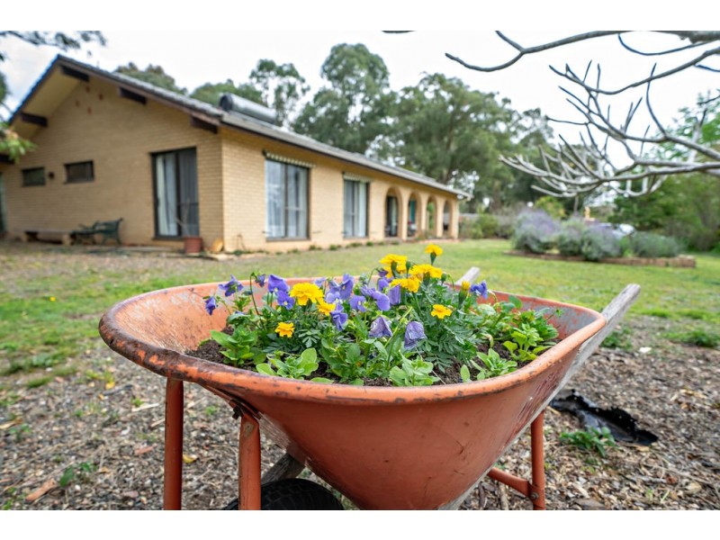 599 Tinonee Road, Mondrook NSW 2430