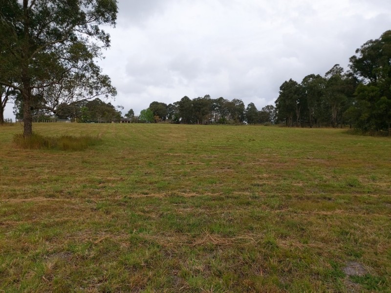 599 Tinonee Road, Mondrook NSW 2430