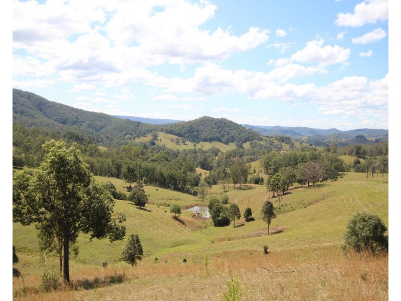 207 Butchers Creek Road, Wherrol Flat NSW 2429