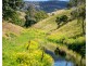 207 Butchers Creek Road, Wherrol Flat NSW 2429