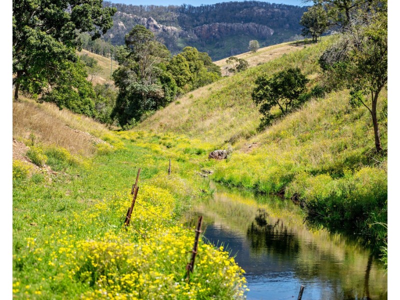 207 Butchers Creek Road, Wherrol Flat NSW 2429