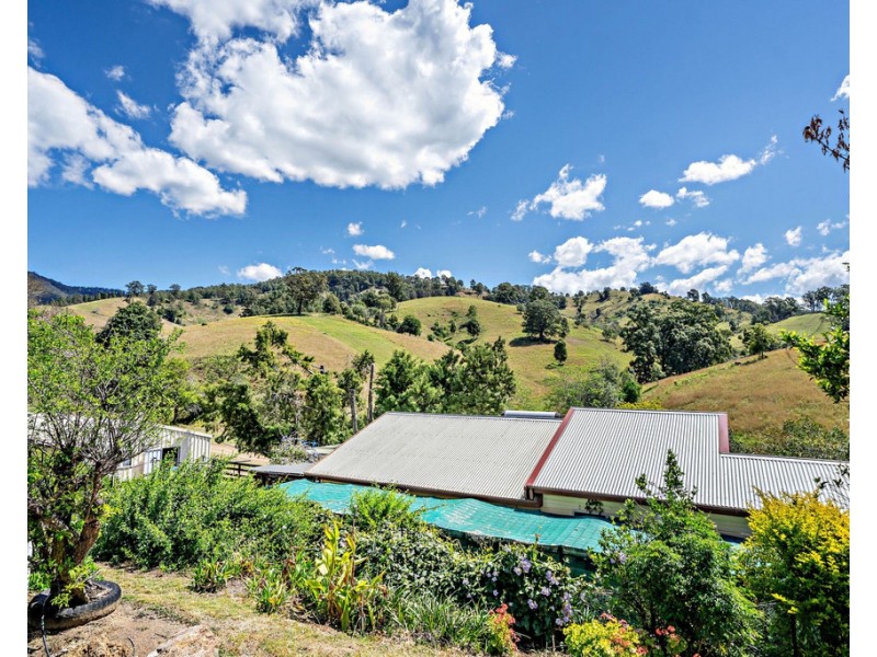 207 Butchers Creek Road, Wherrol Flat NSW 2429
