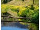 207 Butchers Creek Road, Wherrol Flat NSW 2429