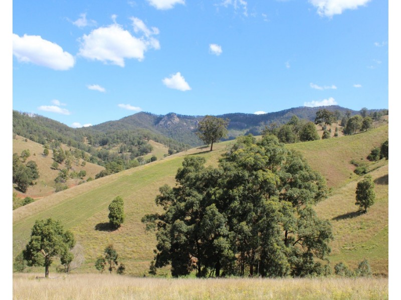 207 Butchers Creek Road, Wherrol Flat NSW 2429