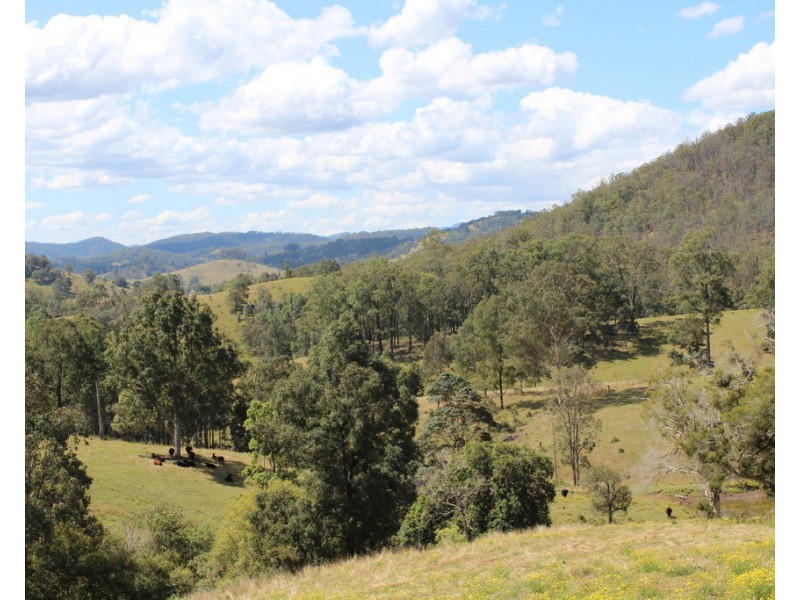 207 Butchers Creek Road, Wherrol Flat NSW 2429