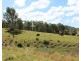207 Butchers Creek Road, Wherrol Flat NSW 2429