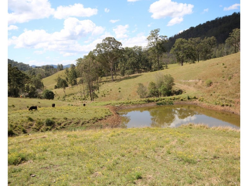 207 Butchers Creek Road, Wherrol Flat NSW 2429